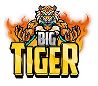 logo-bigtiger