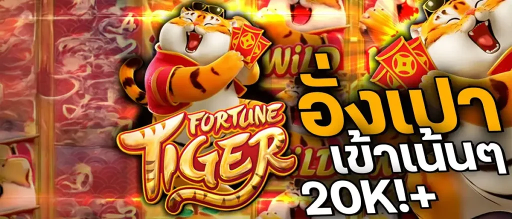 ทำไมต้องเลือกเล่น Bigtiger