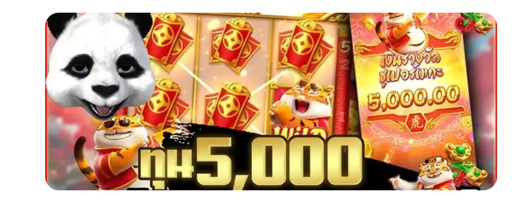 สมัครเล่น bigtiger